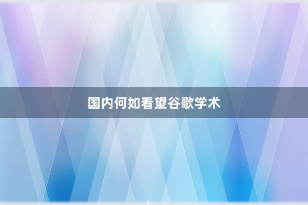 国内何如看望谷歌学术